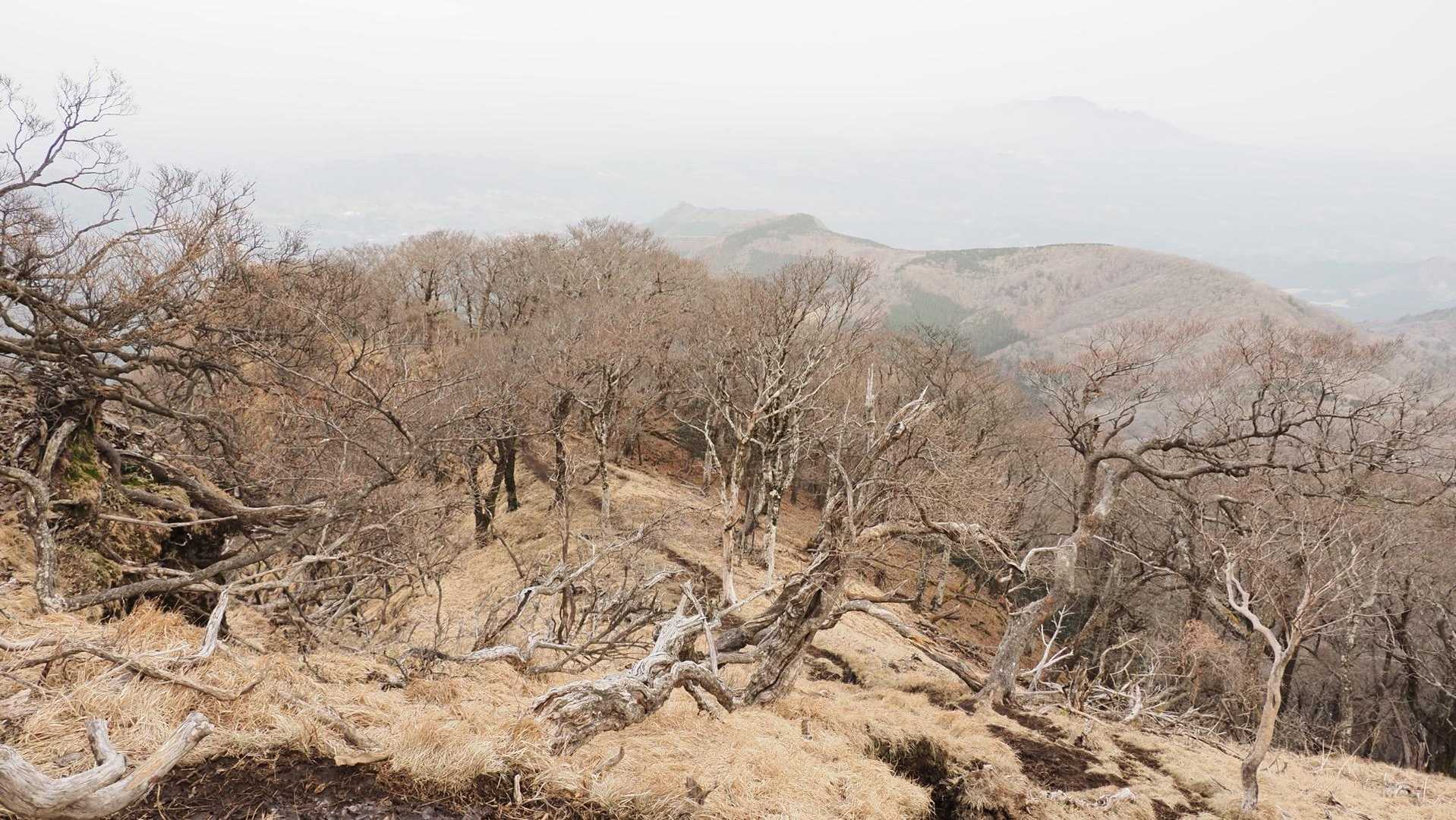 祖母山、朝駆け の写真 20