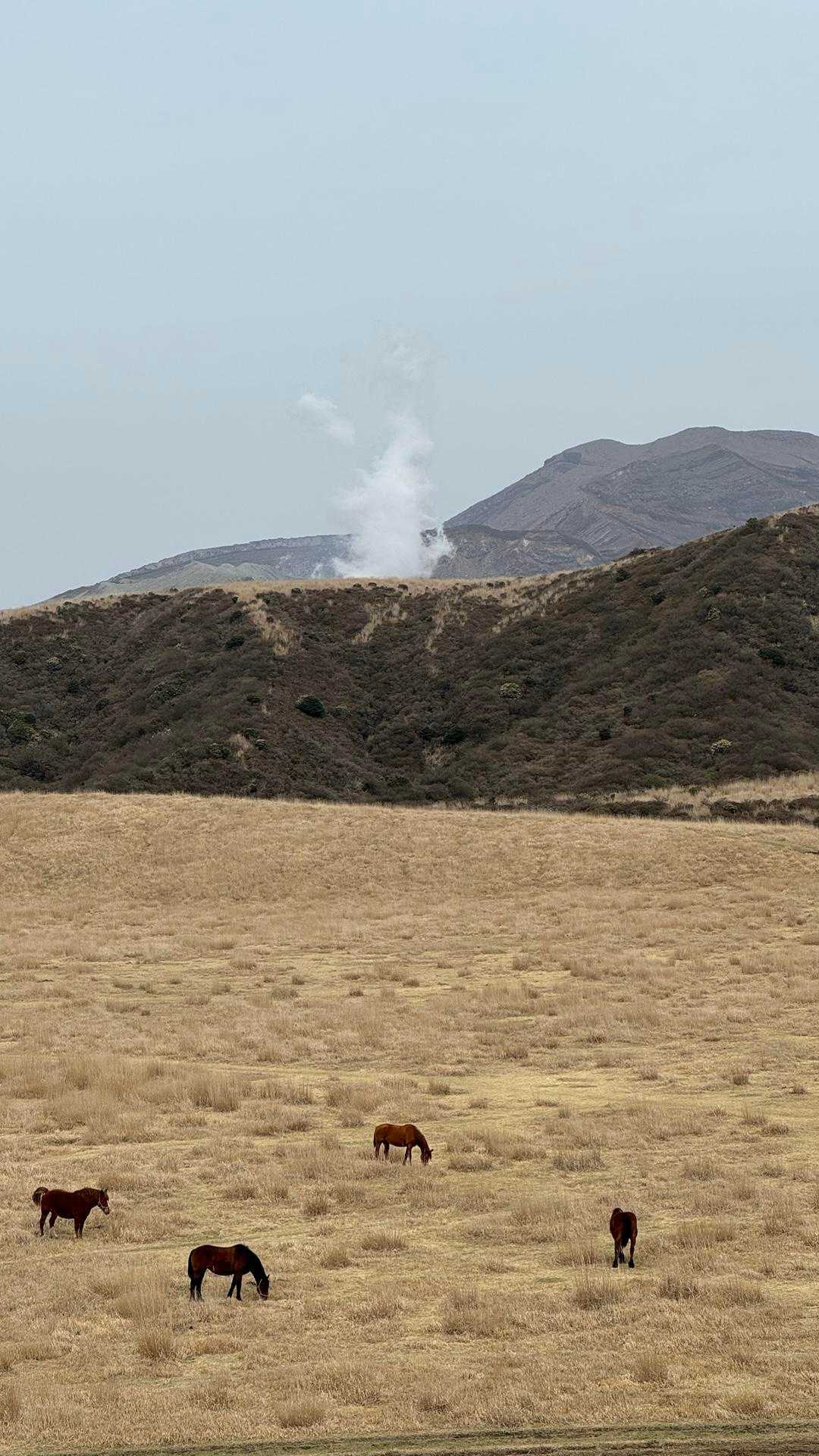 駒立山、草千里ヶ浜散歩 の写真 3