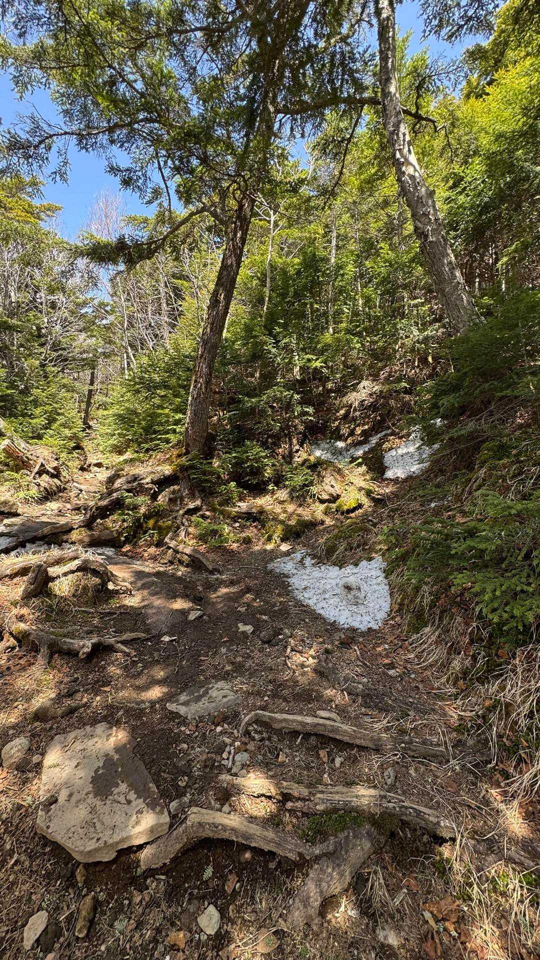男体山 の写真 14