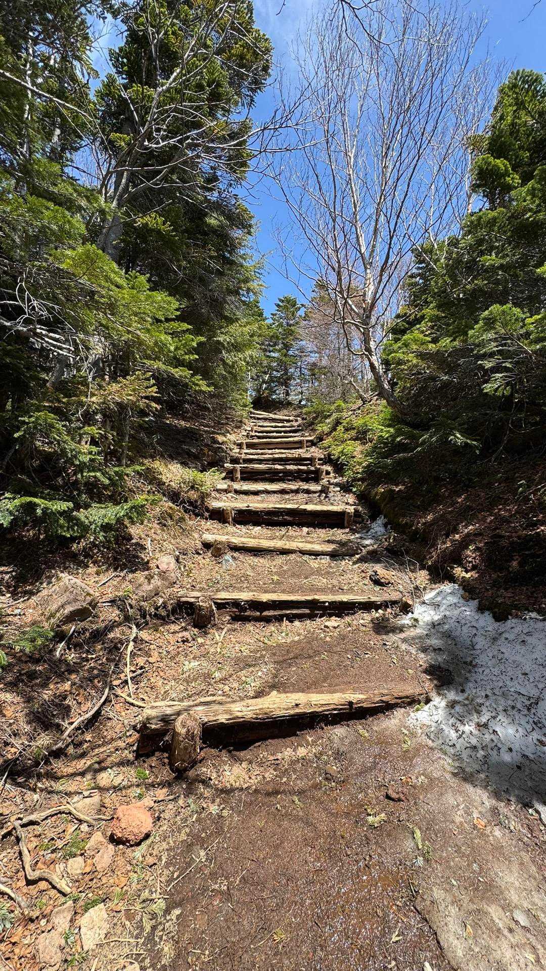 男体山 の写真 15