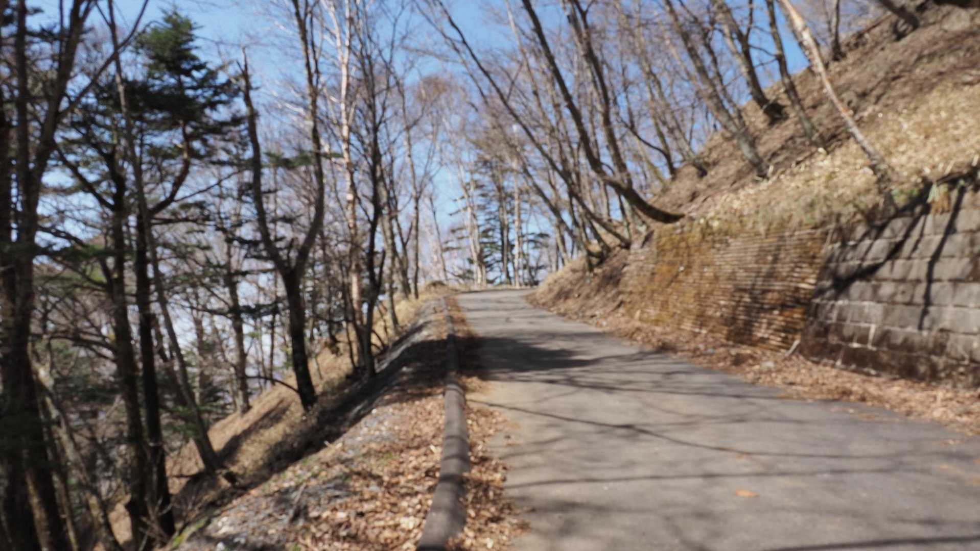 男体山 の写真 8