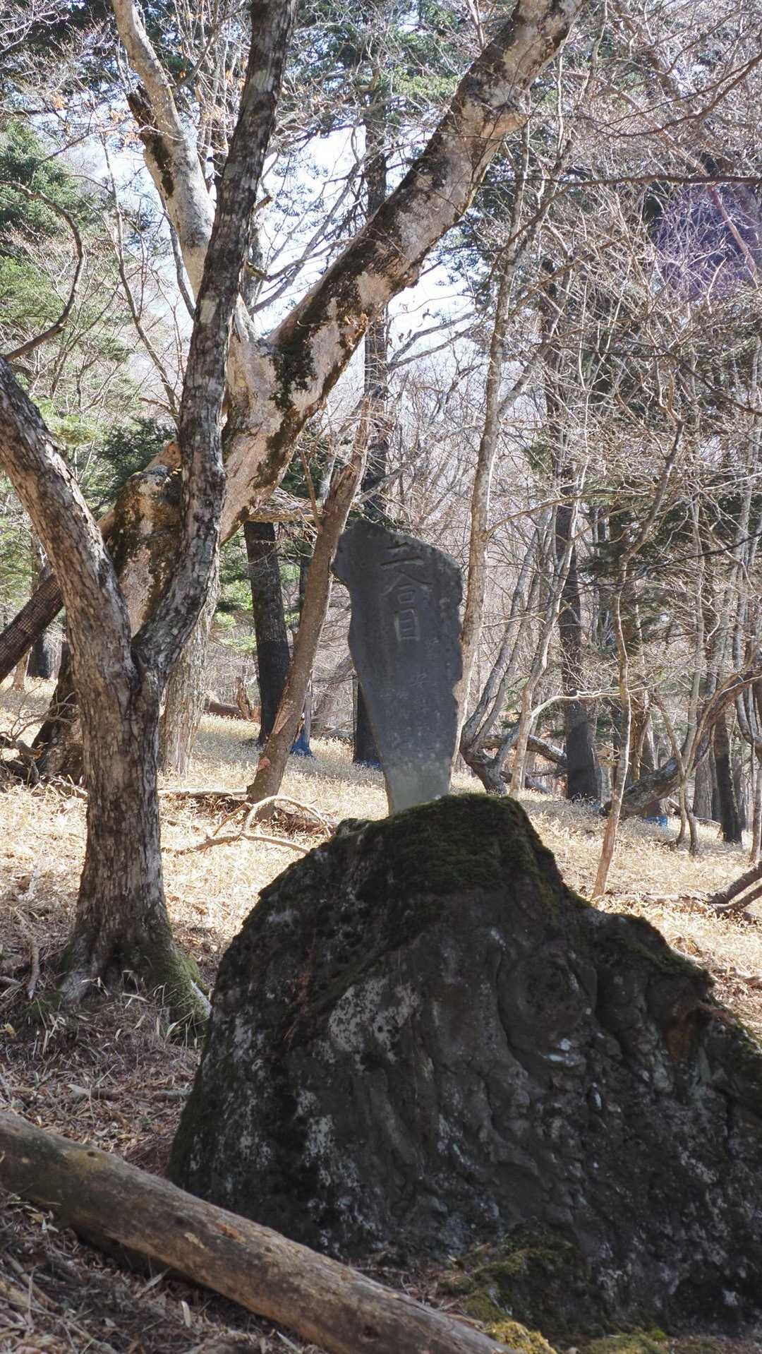 男体山 の写真 6