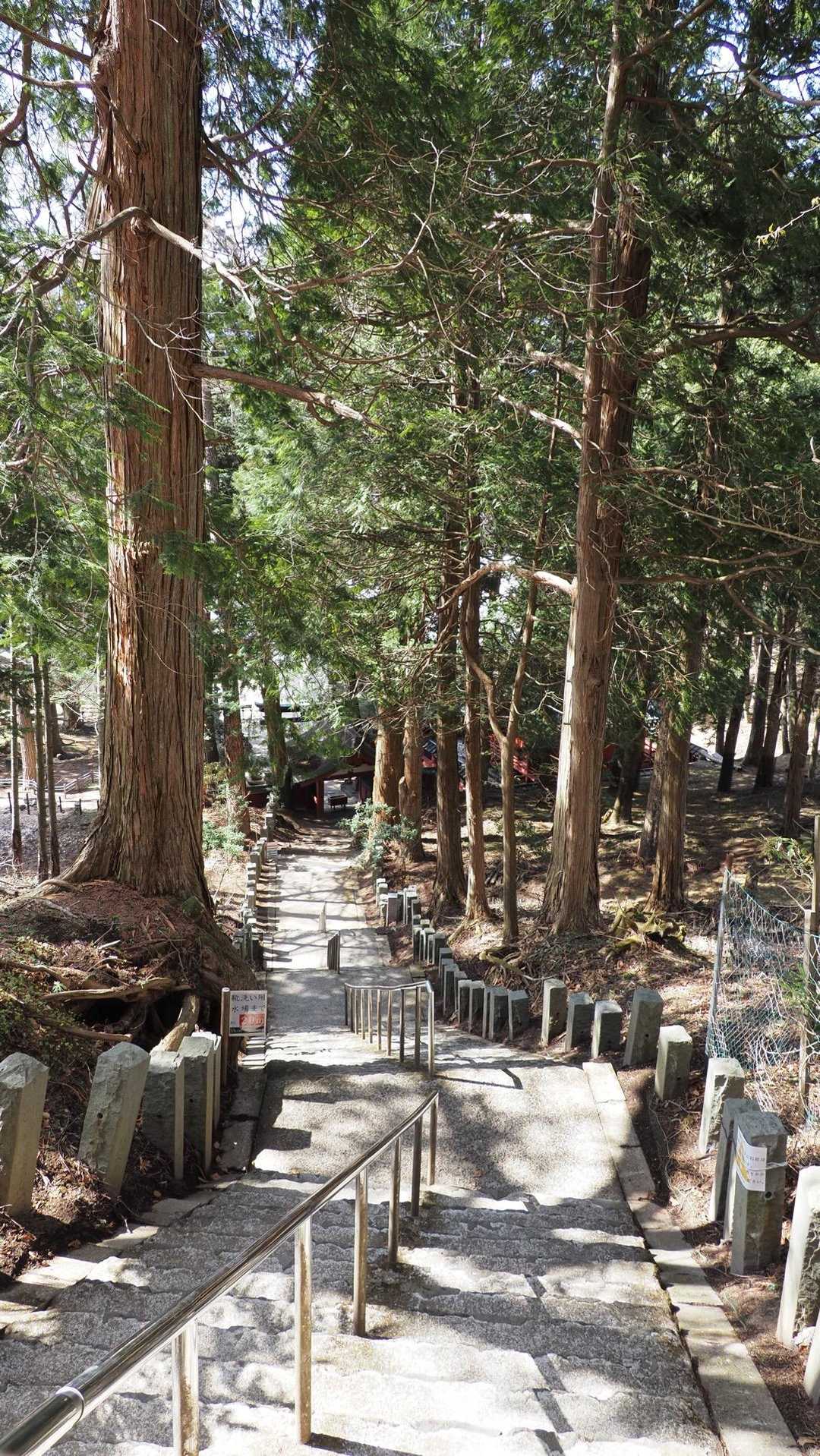 男体山 の写真 5