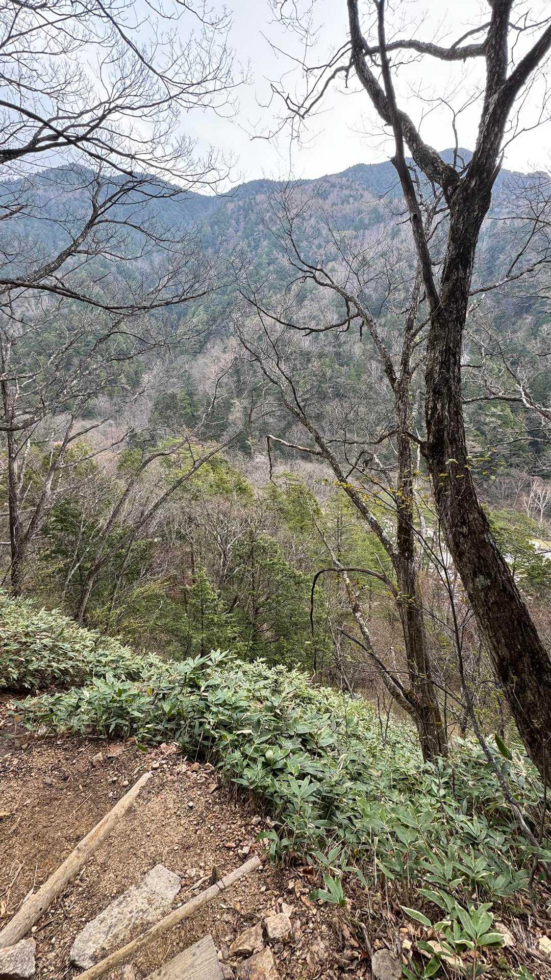 燕岳、残雪の稜線へ の写真 2
