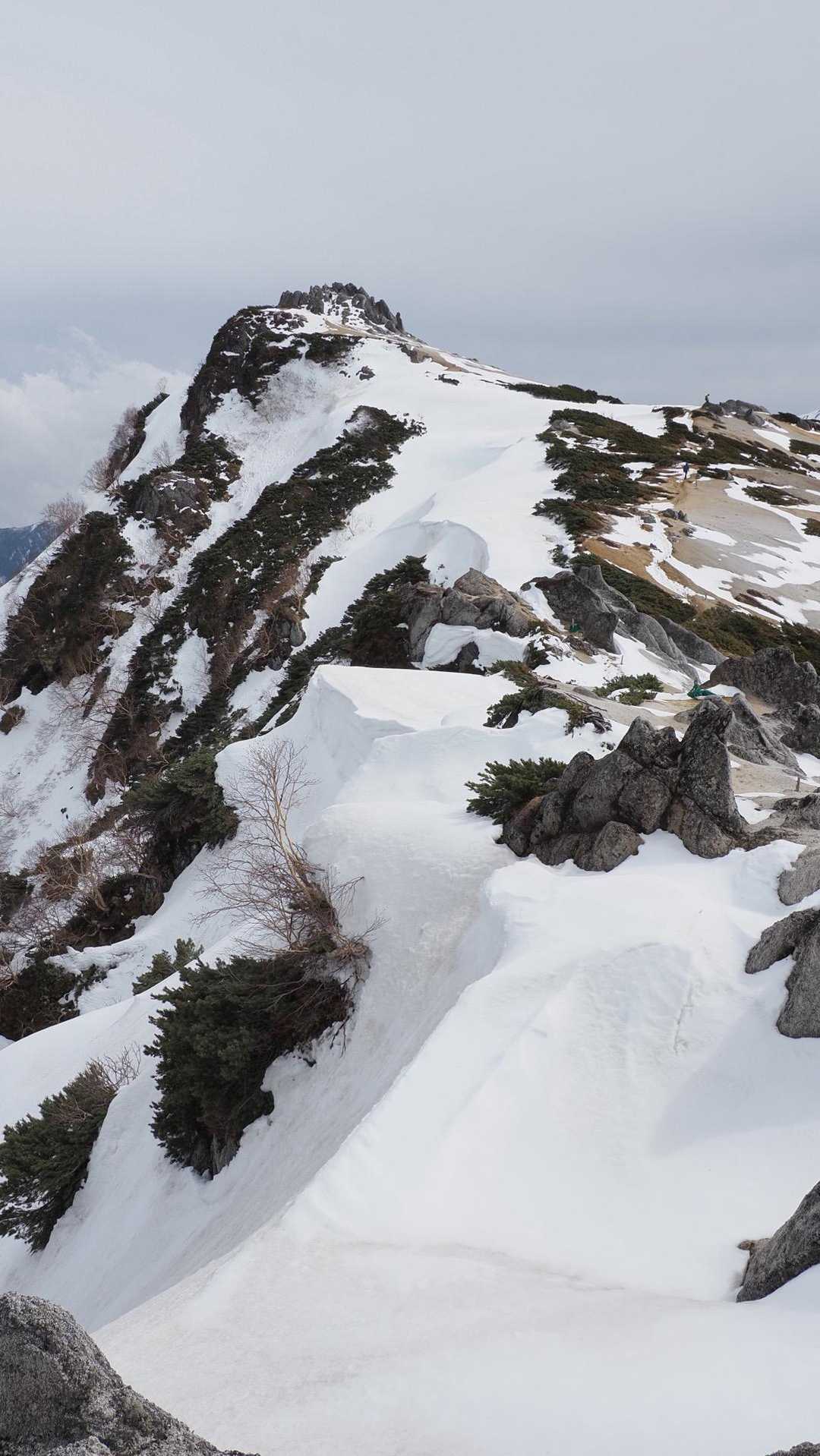 燕岳、残雪の稜線へ の写真 25