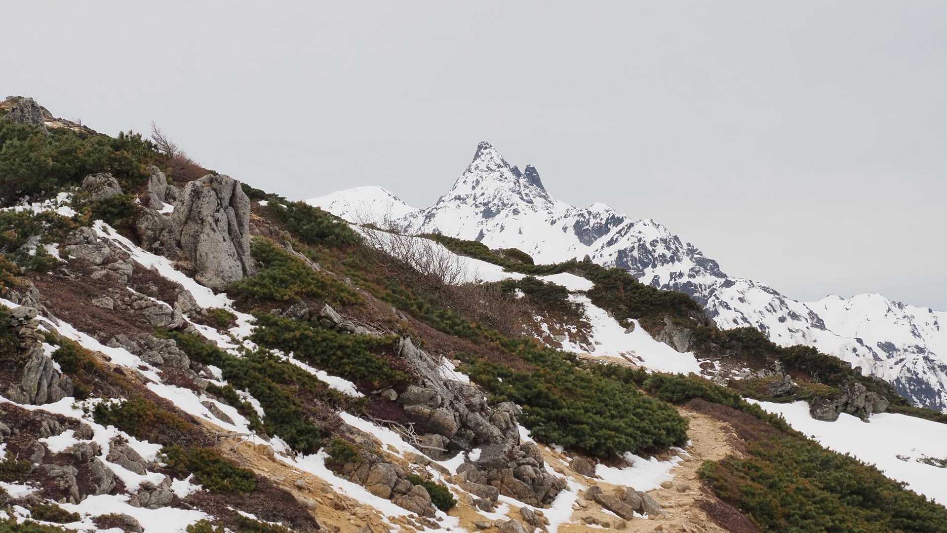 燕岳、残雪の稜線へ の写真 41