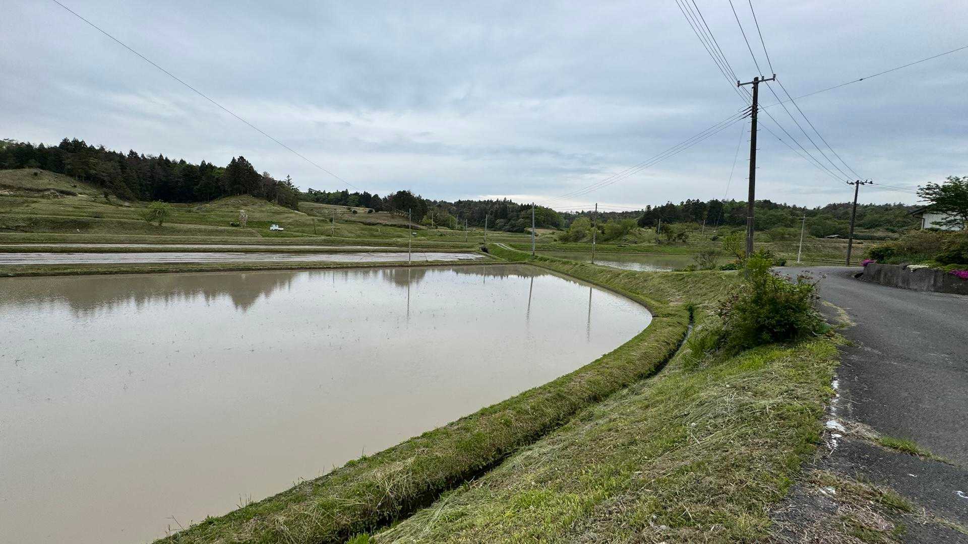 ふくしま浜街道トレイル#5−2／未踏区間（真島橋〜磯部〜日立木駅）ハイク の写真 6