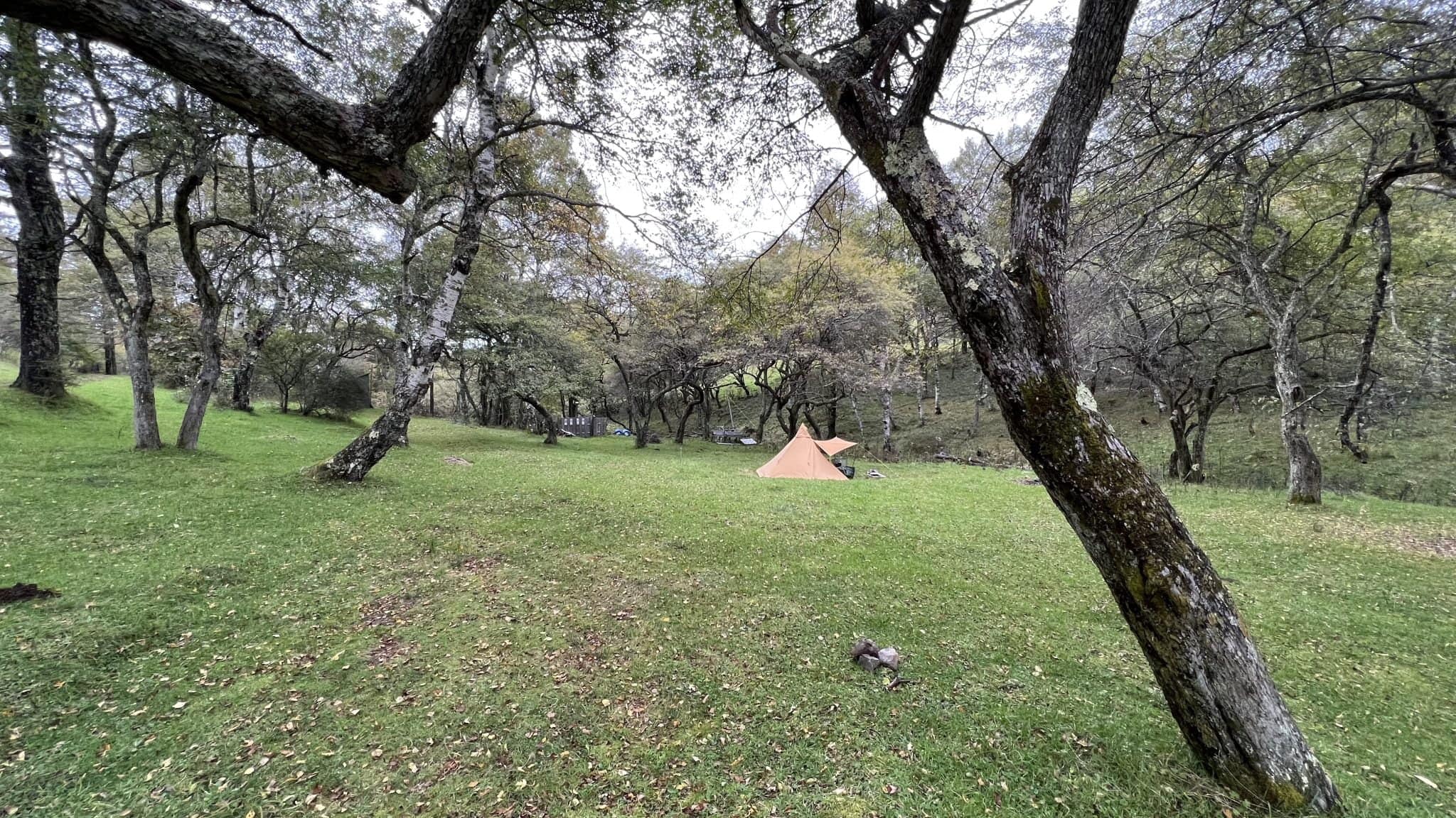 入笠牧場キャンプ場（入笠JAハウス）のアイキャッチ画像